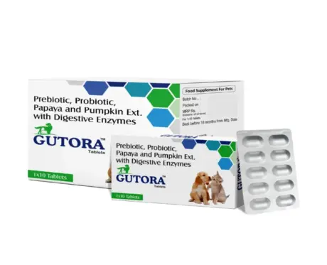 Ecora MPS Gutora Tablets for Pets, Advanced Gut Health Supplement, 10 Tablets at ithinkpets.com (1)