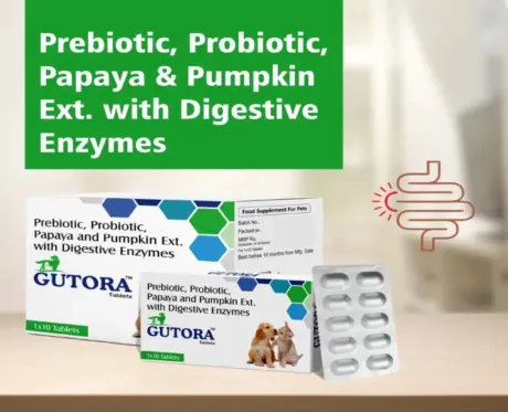 Ecora MPS Gutora Tablets for Pets, Advanced Gut Health Supplement, 10 Tablets at ithinkpets.com (2)