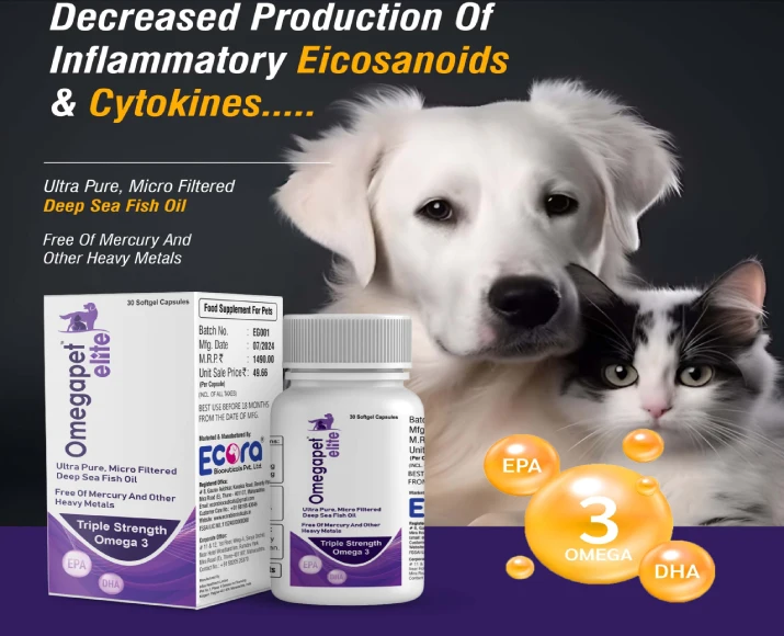 Ecora MPS Omega Pet Elite for Joint, Skin & Heart Health, 30 Softgels Capsules at ithinkpets.com (2)