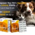 Ecora MPS Pancrefit Elite Capsules for Dogs & Cats, 10 Capsules at ithinkpets.com (2)