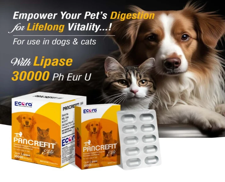 Ecora MPS Pancrefit Elite Capsules for Dogs & Cats, 10 Capsules at ithinkpets.com (2)