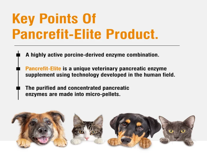 Ecora MPS Pancrefit Elite Capsules for Dogs & Cats, 10 Capsules at ithinkpets.com (4)