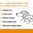 Ecora MPS Pancrefit Elite Capsules for Dogs & Cats, 10 Capsules at ithinkpets.com (5)