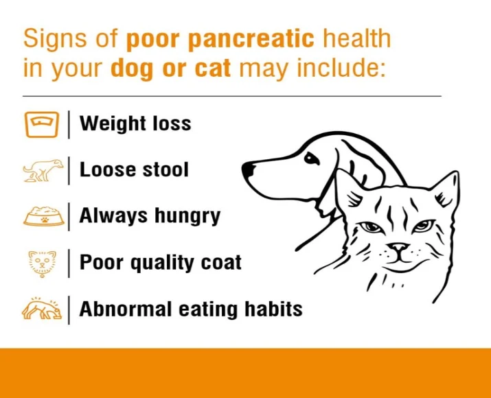 Ecora MPS Pancrefit Elite Capsules for Dogs & Cats, 10 Capsules at ithinkpets.com (5)