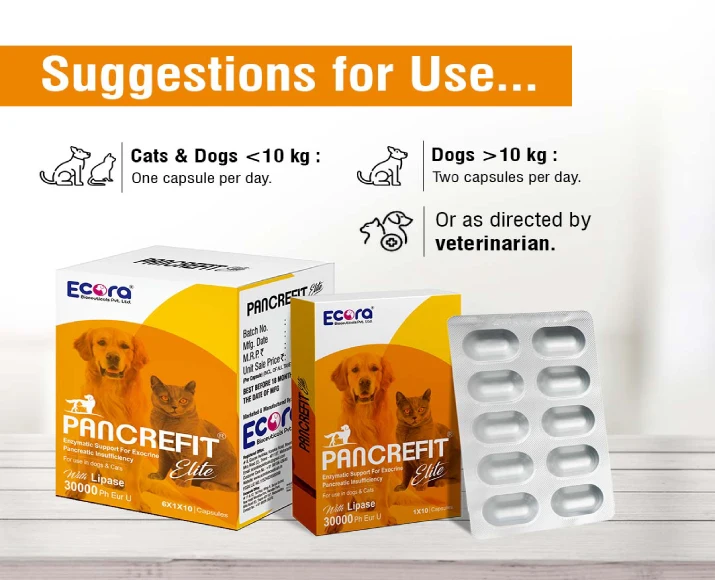 Ecora MPS Pancrefit Elite Capsules for Dogs & Cats, 10 Capsules at ithinkpets.com (6)