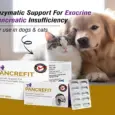 Ecora MPS Pancrefit Tablets for Dogs & Cats, 10 Tablets at ithinkpets.com (2)