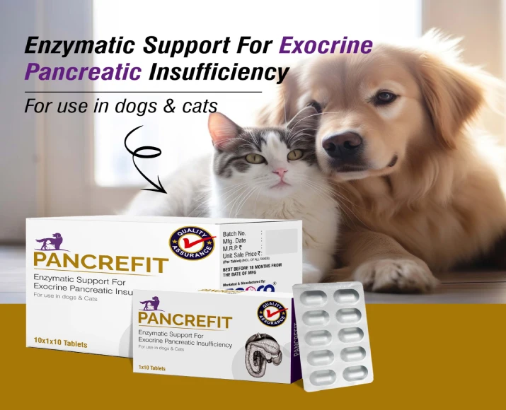 Ecora MPS Pancrefit Tablets for Dogs & Cats, 10 Tablets at ithinkpets.com (2)