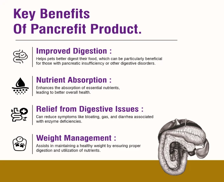 Ecora MPS Pancrefit Tablets for Dogs & Cats, 10 Tablets at ithinkpets.com (3)