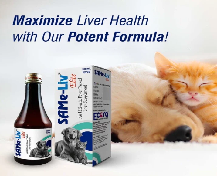 Ecora MPS Same Liv Elite Syrup Pet Supplement for Liver, 100 ML at ithinkpets.com (2)