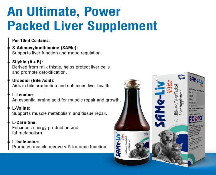 Ecora MPS Same Liv Elite Syrup Pet Supplement for Liver, 100 ML at ithinkpets.com (3)