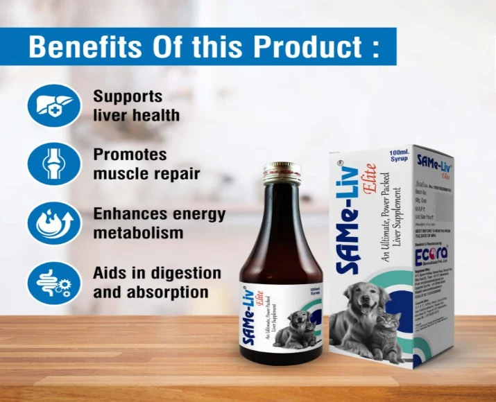 Ecora MPS Same Liv Elite Syrup Pet Supplement for Liver, 100 ML at ithinkpets.com (5)