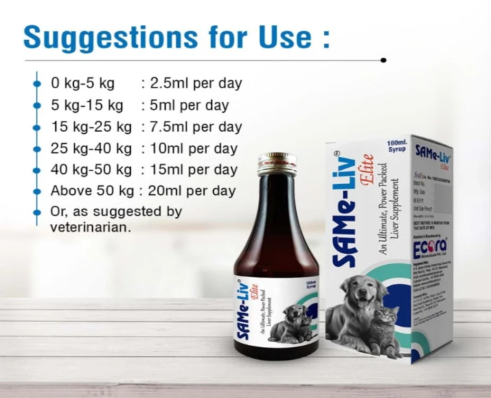 Ecora MPS Same Liv Elite Syrup Pet Supplement for Liver, 100 ML at ithinkpets.com (6)