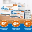 Ecora MPS Same Liv Medium Tablets for Dogs, 10 Tablets at ithinkpets.com (4)