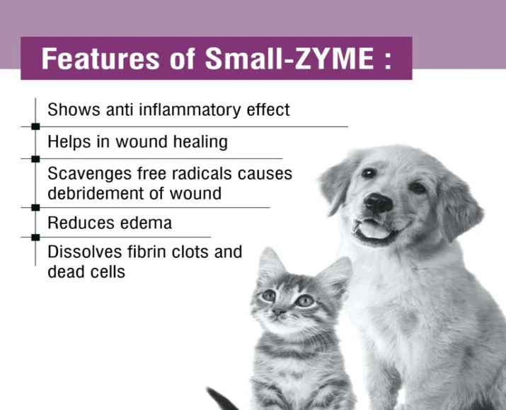 Ecora MPS Small Zyme Tablets for Dogs & Cats, 10 Tablets at ithinkpets.com (3)