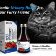 Ecora MPS UTI SUPPORT Syrup for Dogs & Cats, 100 ML at ithinkpets.com (2)