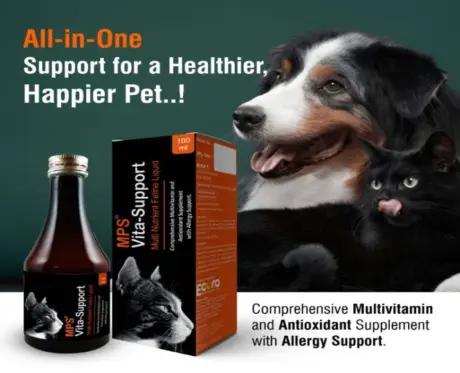 Ecora MPS Vita Support Syrup for Dogs & Cats, 100 ML at ithinkpets.com (2)