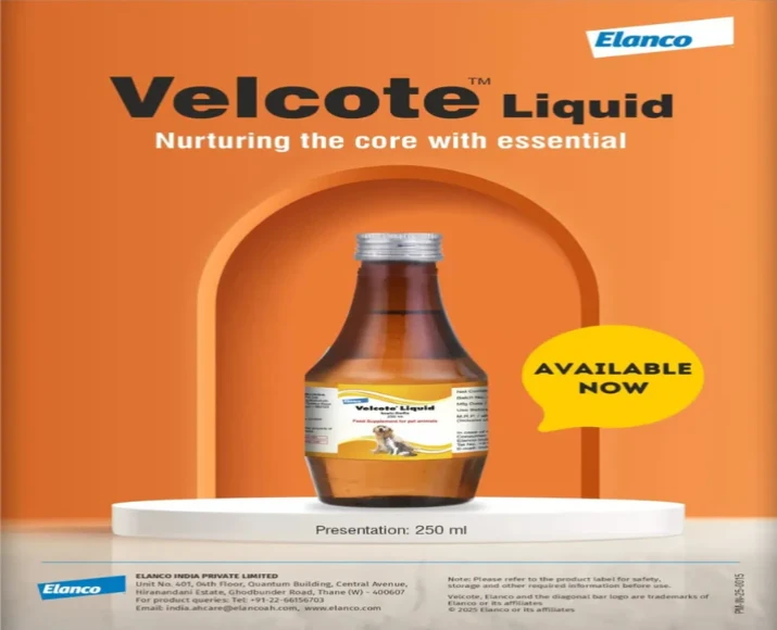 Elanco Velcote Liquid, Omega Enriched Multivitamin for Dogs & Cats, 250 ML at ithinkpets.com (4)