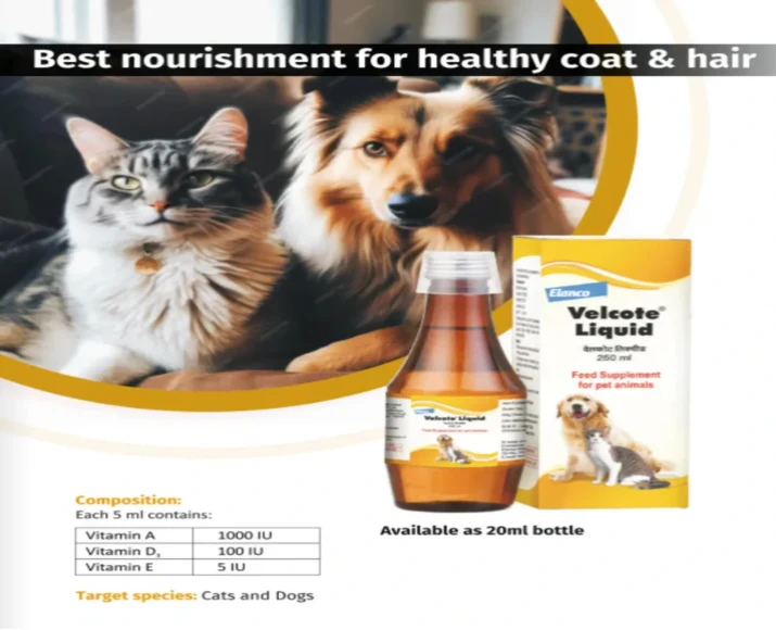 Elanco Velcote Liquid, Omega Enriched Multivitamin for Dogs & Cats, 250 ML at ithinkpets.com (6)