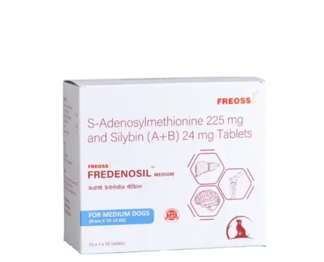 Freossi Fredenosil Medium Tablets for Dogs from 5 to 15 KG at ithinkpets.com (1)