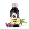 Fur Ball Story Liv Paw Syrup, Liver Support Syrup for Dogs, 100 ML at ithinkpets.com (1) (1)