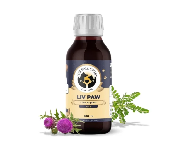Fur Ball Story Liv Paw Syrup, Liver Support Syrup for Dogs, 100 ML at ithinkpets.com (1) (1)