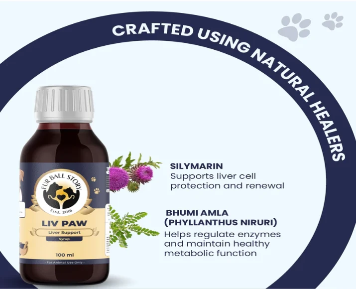 Fur Ball Story Liv Paw Syrup, Liver Support Syrup for Dogs, 100 ML at ithinkpets.com (2)