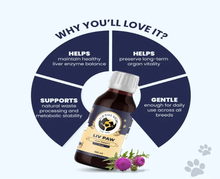 Fur Ball Story Liv Paw Syrup, Liver Support Syrup for Dogs, 100 ML at ithinkpets.com (3)