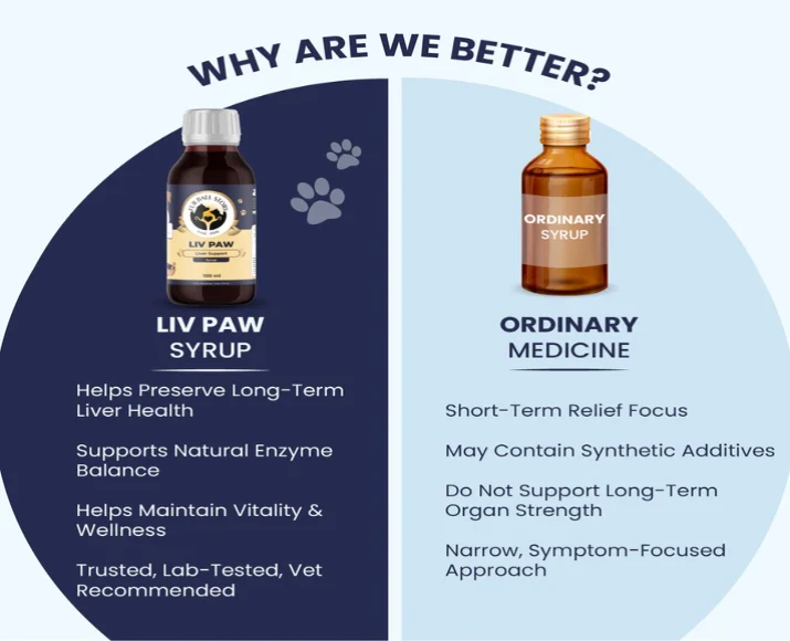 Fur Ball Story Liv Paw Syrup, Liver Support Syrup for Dogs, 100 ML at ithinkpets.com (4)