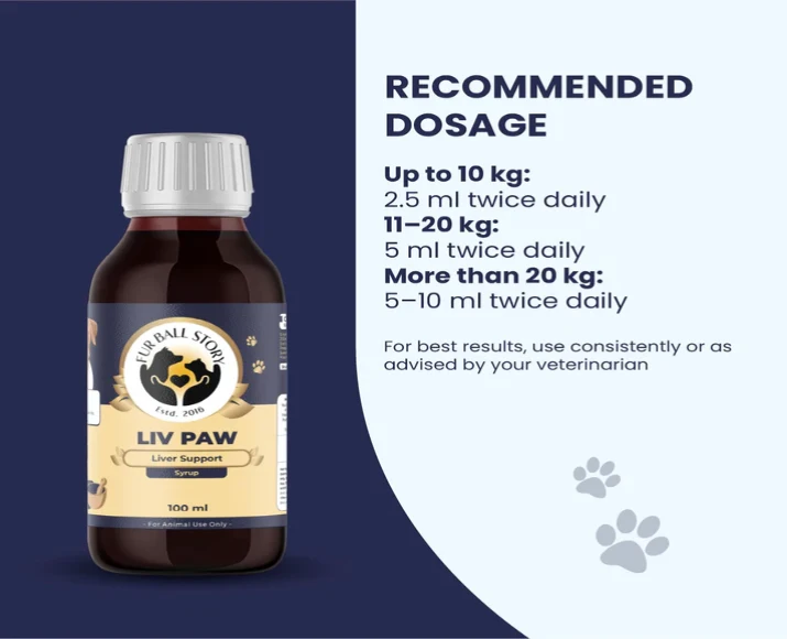 Fur Ball Story Liv Paw Syrup, Liver Support Syrup for Dogs, 100 ML at ithinkpets.com (5)