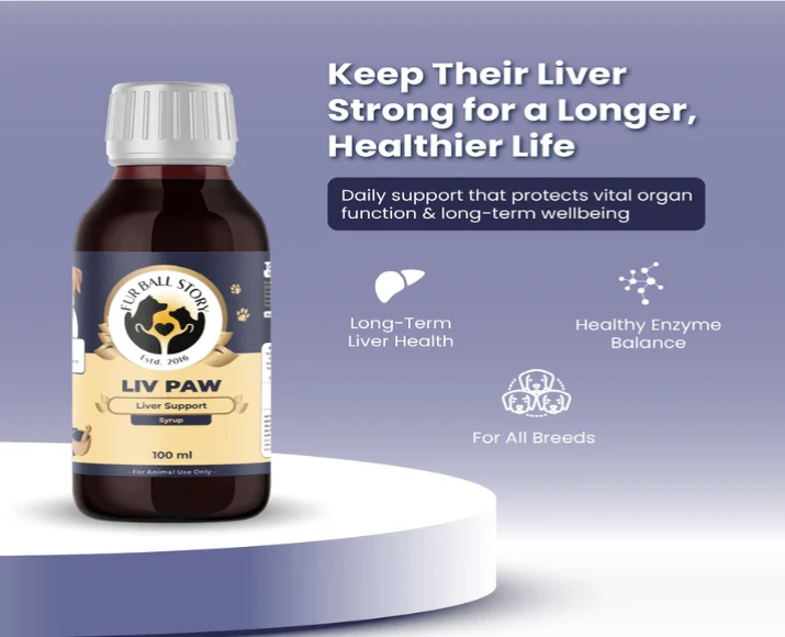 Fur Ball Story Liv Paw Syrup, Liver Support Syrup for Dogs, 100 ML at ithinkpets.com (7)