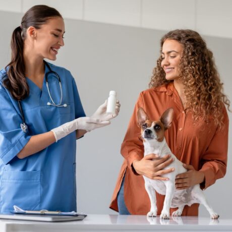 Kidney & Liver Problems in Dogs and Cats Early Symptoms & Care (2)