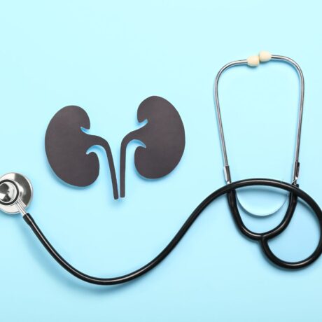 Kidney & Liver Problems in Dogs and Cats Early Symptoms & Care (2)