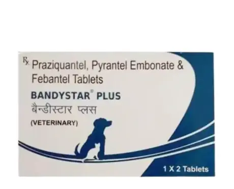 Mankind Bandystar Plus Deworming Tablets for Dogs, 2 Tablets Ithinkpets.com