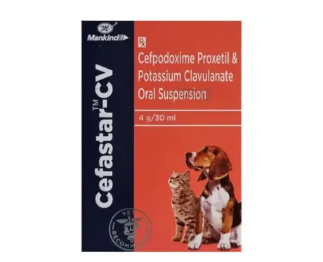 Mankind Cefastar CV Dry Syrup for Dogs & Cats, 30 ML Ithinkpets (2)