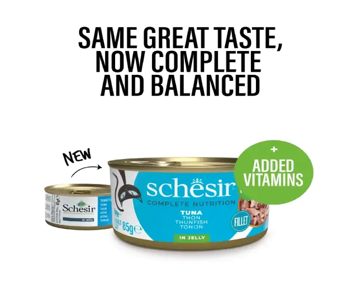 Schesir Tuna Whole Meat & Rice In Jelly Cat Wet Food,85 GM Ithinkpets (1)