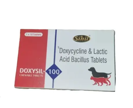 Sihil Doxysil 100 MG (Doxycycline) Tablet for Dogs & Cats at ithinkpets.com (1) (1)