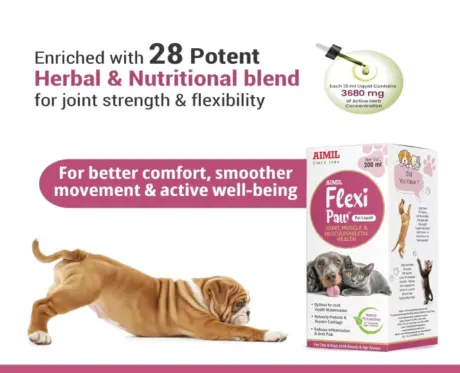 Aimil Flexipaw Pet Liquid, Herbal Joint & Hip Support for Dogs and Cats, 200 ML at ithinkpets.com (2)