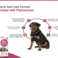 Aimil Flexipaw Pet Liquid, Herbal Joint & Hip Support for Dogs and Cats, 200 ML at ithinkpets.com (5)