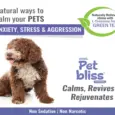 Aimil Pet Bliss Pet Liquid for Calming & Stress Relief for Dogs & Cats, 200 ML at ithinkpets.com (2)
