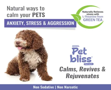 Aimil Pet Bliss Pet Liquid for Calming & Stress Relief for Dogs & Cats, 200 ML at ithinkpets.com (2)