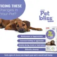 Aimil Pet Bliss Pet Liquid for Calming & Stress Relief for Dogs & Cats, 200 ML at ithinkpets.com (5)