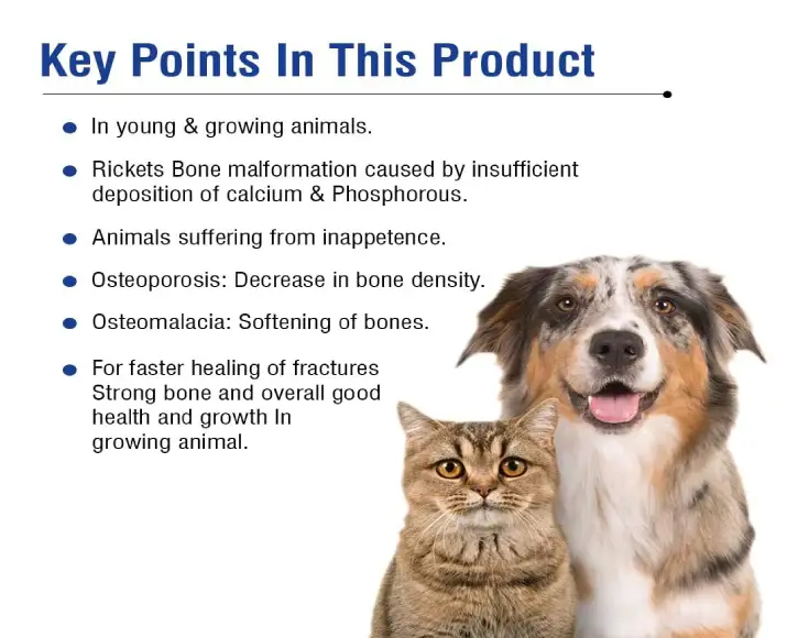 Ecora Calcinex Calcium Tablets for Pets, 60 Tablets Ithinkpets (1)