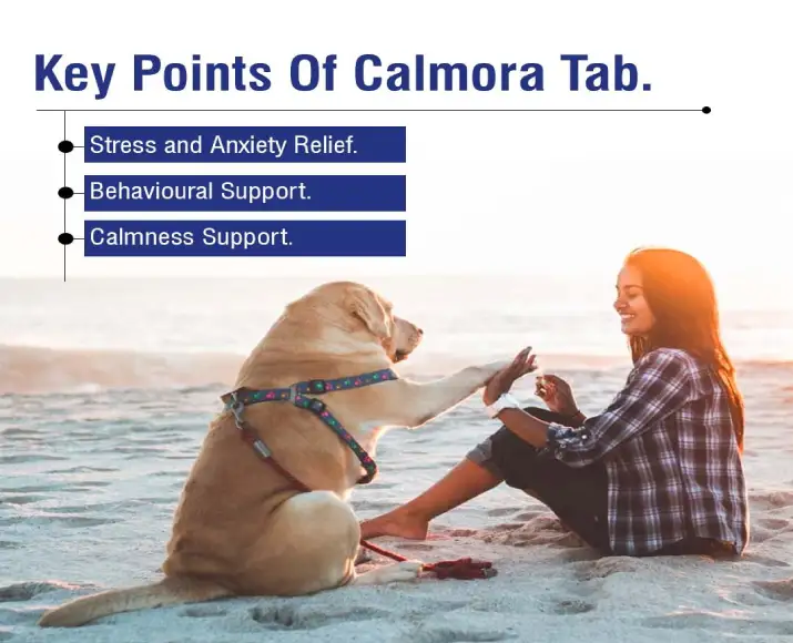 Ecora Calmora Tablets for Pets, Complete Nervine Care,Supports Calming & Stress Relief,30 Tablets Ithinkpets (4)