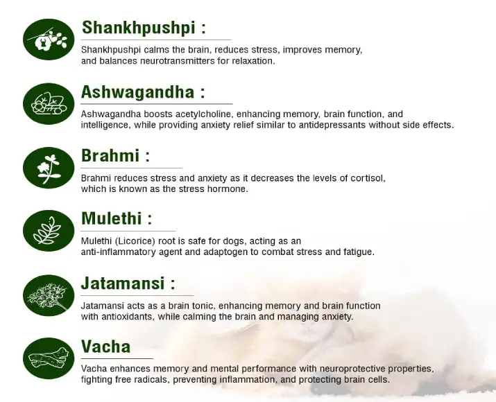 Ecora Pet Neuron Syrup for Dogs & Cats, Nervine Care & Calming Support, 200 ML Ithinkpets (4)