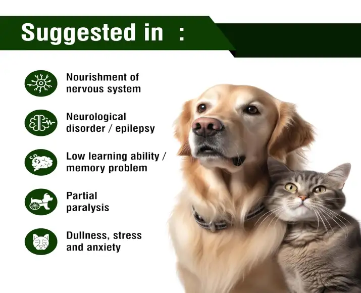 Ecora Pet Neuron Syrup for Dogs & Cats, Nervine Care & Calming Support, 200 ML Ithinkpets (4)