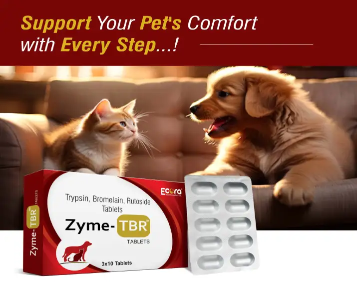 Ecora Zyme TBR Tablets for Dogs & Cats, 30 Tablets Ithinkpets (2)
