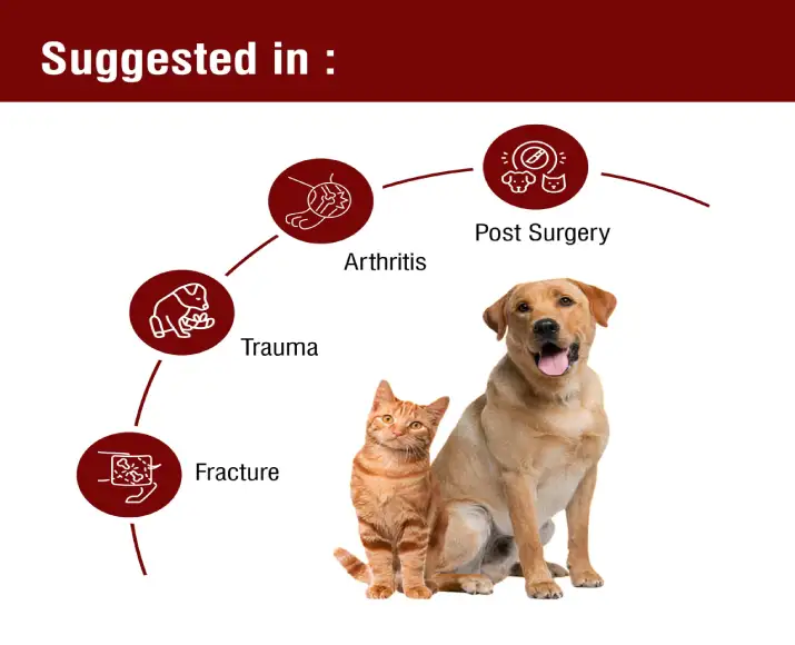 Ecora Zyme TBR Tablets for Dogs & Cats, 30 Tablets Ithinkpets (2)