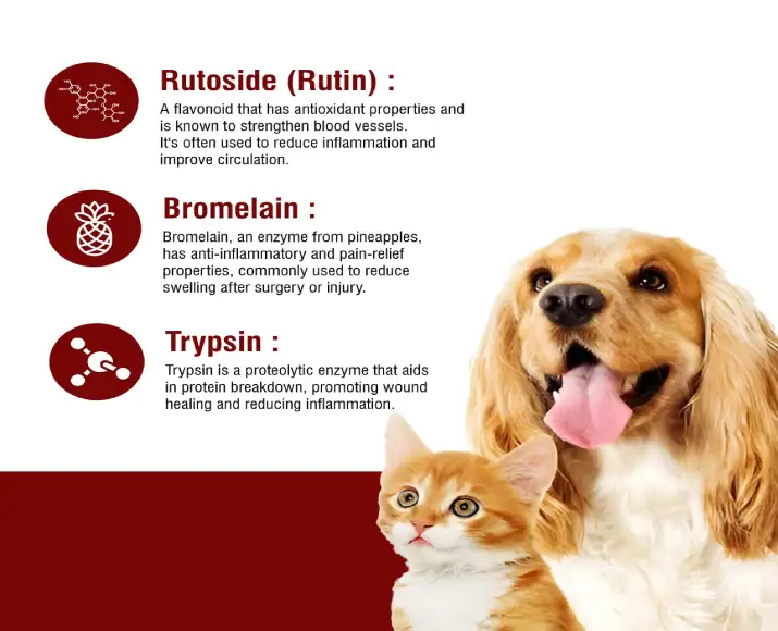 Ecora Zyme TBR Tablets for Dogs & Cats, 30 Tablets Ithinkpets (2)