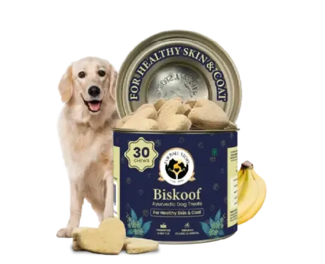 Fur Ball Story Biskoof Healthy Skin & Shiny Coat Buiscuits Treats, 150 GM at ithinkpets.com (1) (1)