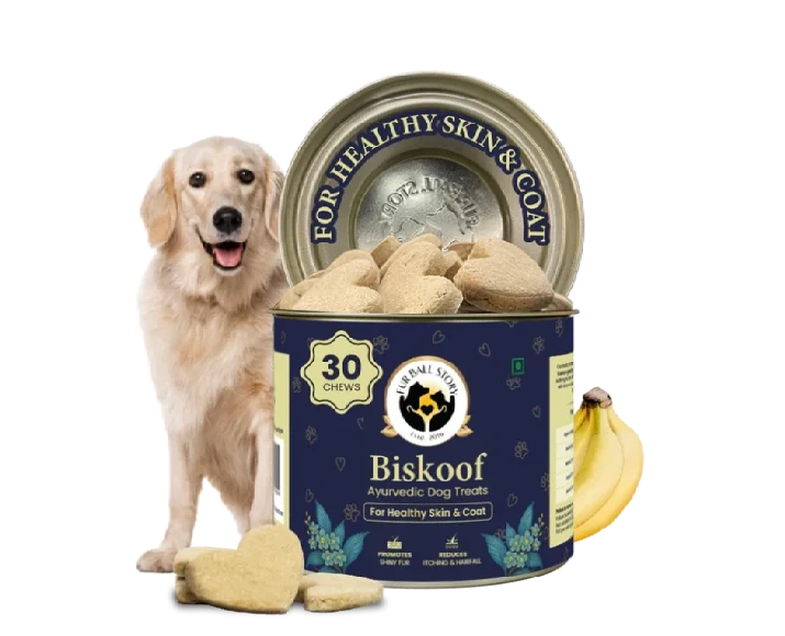 Fur Ball Story Biskoof Healthy Skin & Shiny Coat Buiscuits Treats, 150 GM at ithinkpets.com (1) (1)